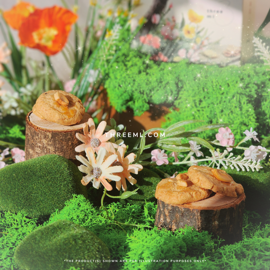 French Cashew Cookie 法式腰豆饼