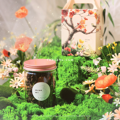 Hojicha Spritz 焙茶挤花曲奇