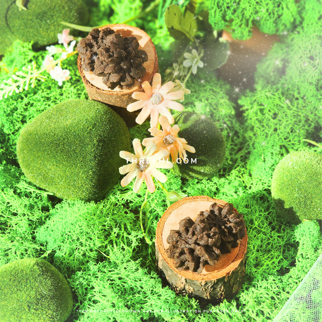 Hojicha Spritz 焙茶挤花曲奇