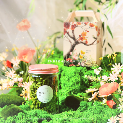 Matcha Spritz 抹茶挤花曲奇