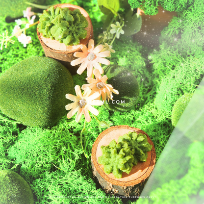 Matcha Spritz 抹茶挤花曲奇